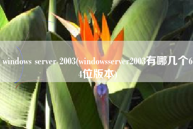 windows server 2003(windowsserver2003有哪几个64位版本)