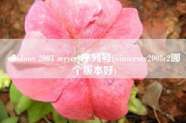 windows 2003 server 序列号(winserver2008r2哪个版本好)